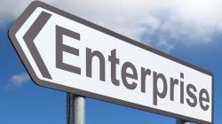 Enterprise password management software