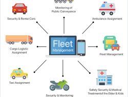 Best Fleet Management System For Optimal Efficiency